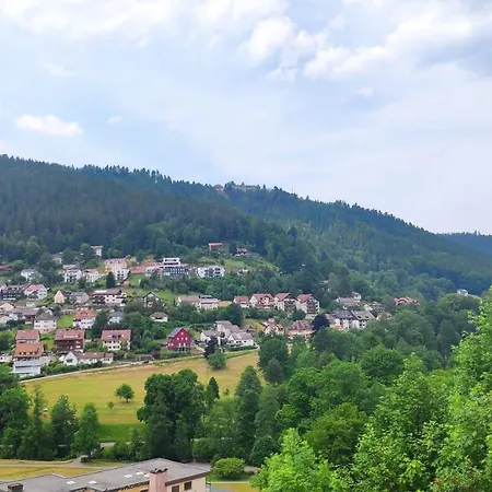 Ferienwohnung Wildbadferien DE Bad Wildbad Exterior foto