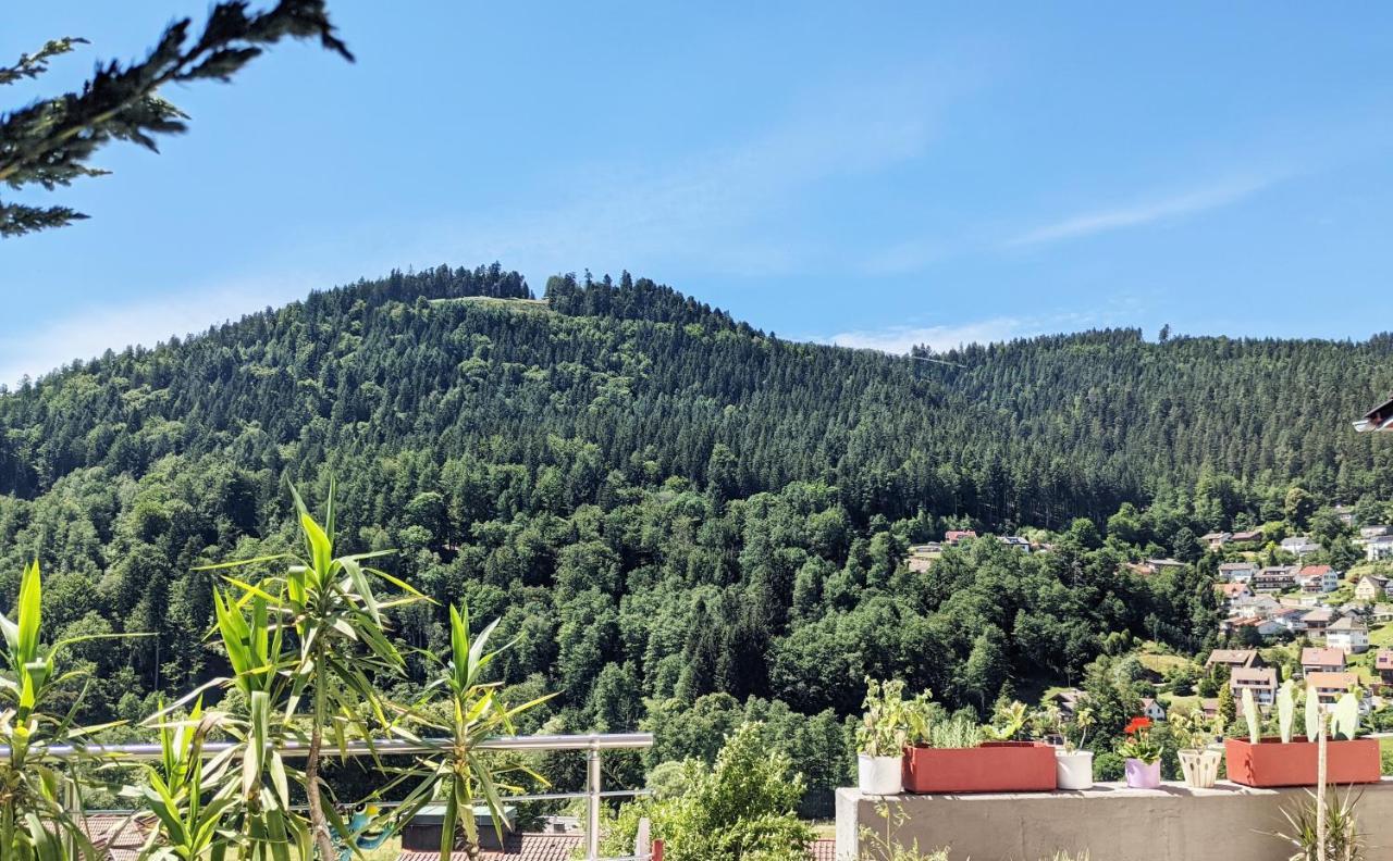 Wildbadferien De *